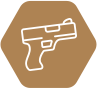 icon gun